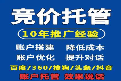 百度推广实战技巧：案例详解